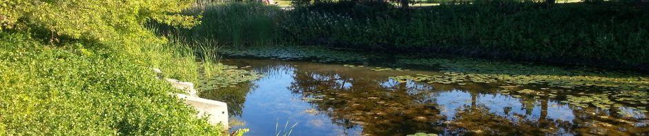 North Branch Chicago River Watershed Workgroup